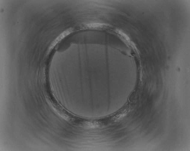 X0000081360250200702020147