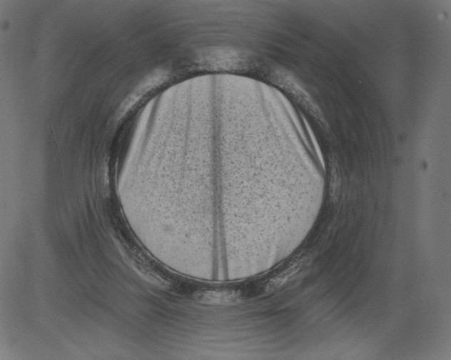 X0000081360251200702020147