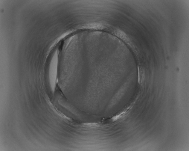 X0000081360252200702020147