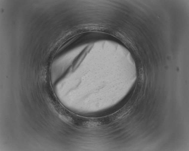 X0000081360255200702020147