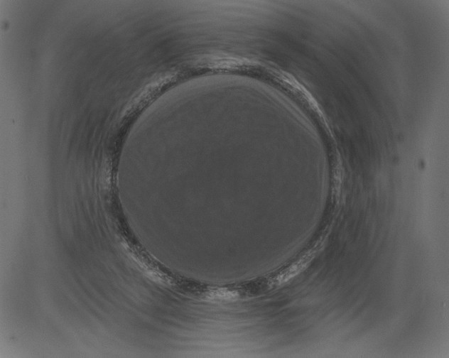 X0000081360257200702020147