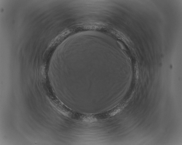 X0000081360258200702020147