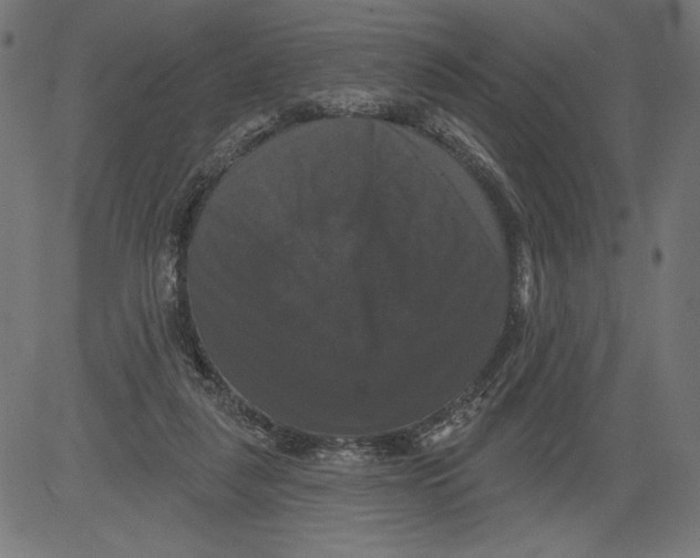 X0000081360259200702020147