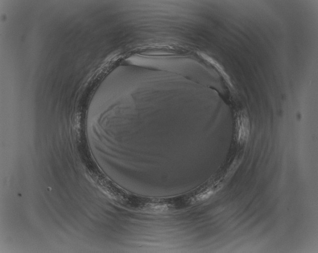 X0000081360260200702020147