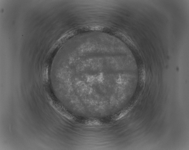 X0000081360262200702020147