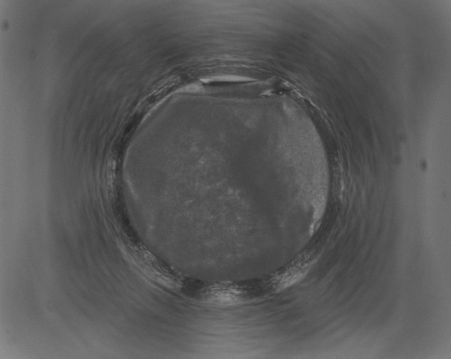 X0000081360263200702020147