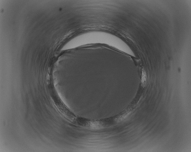 X0000081360264200702020147