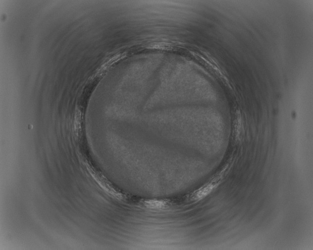 X0000081360265200702020147