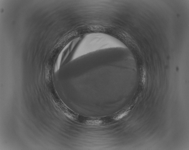 X0000081360266200702020147