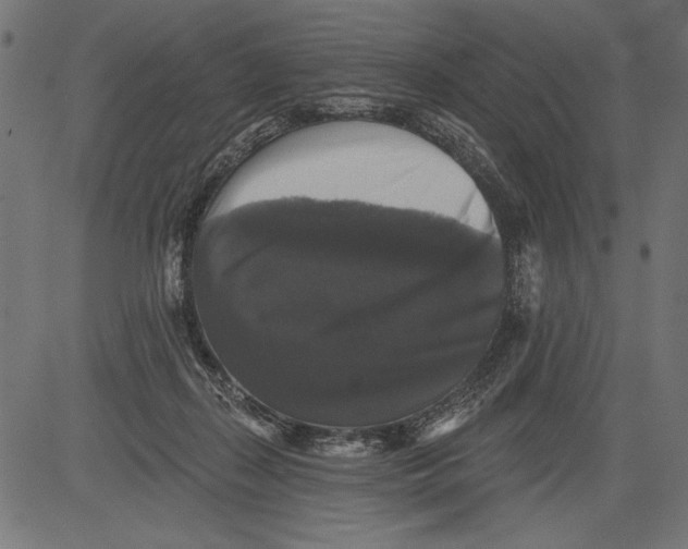 X0000081360267200702020147