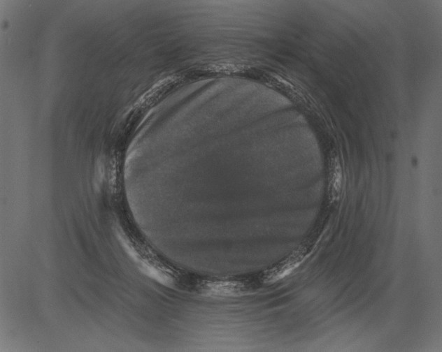 X0000081360268200702020147