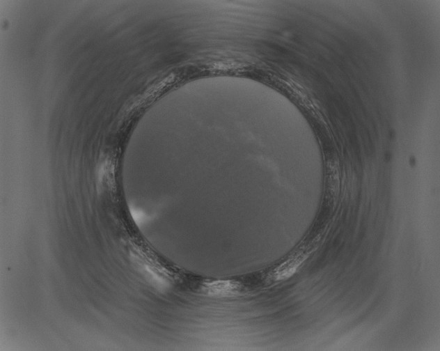 X0000081360269200702020147