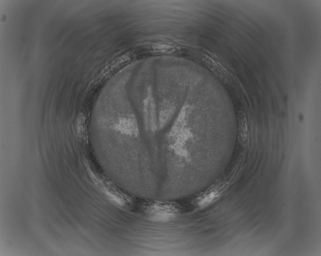 X0000081360270200702020147