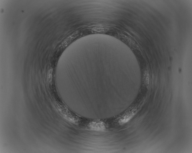 X0000081360271200702020147