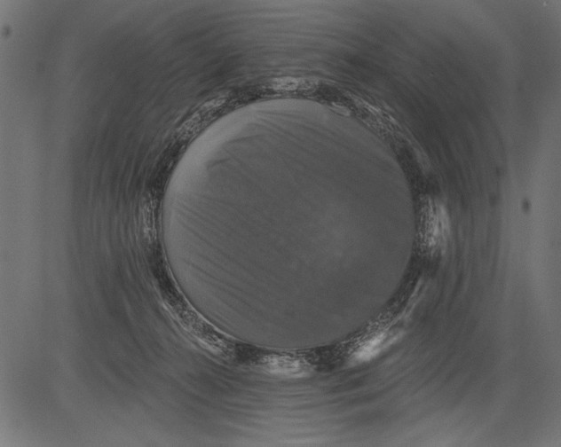 X0000081360272200702020147