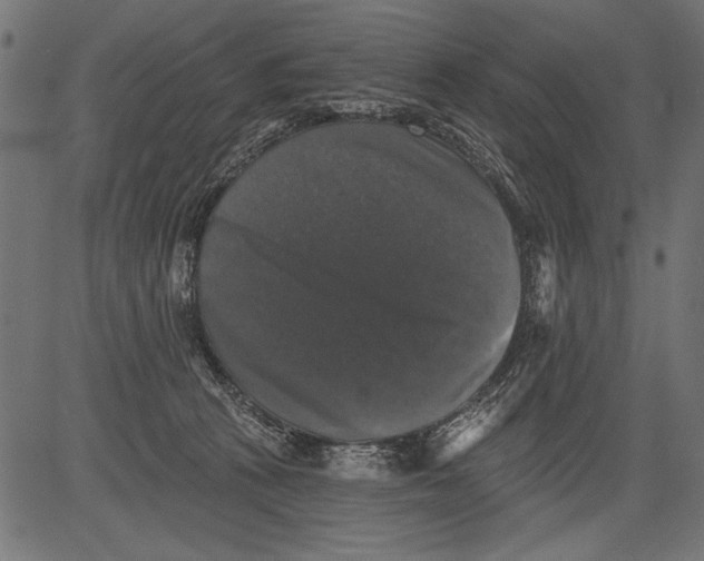 X0000081360273200702020147