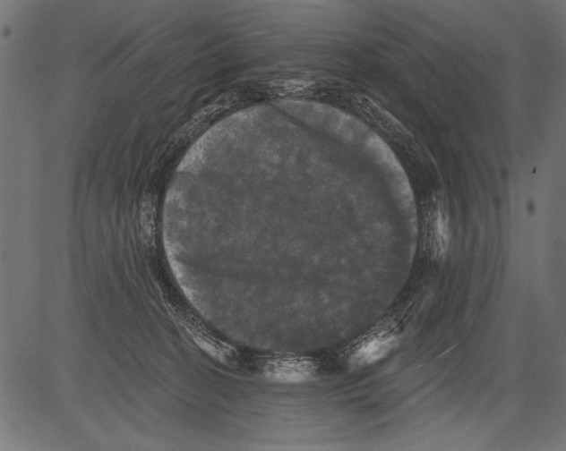 X0000081360274200702020147