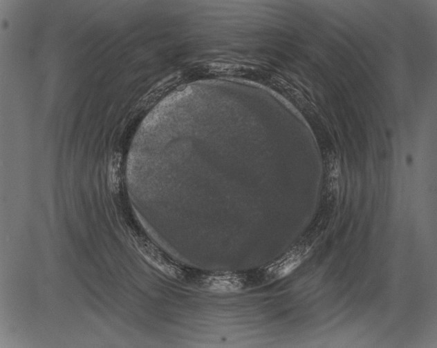 X0000081360275200702020147