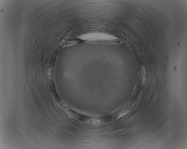 X0000081360276200702020147