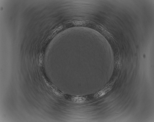 X0000081360277200702020148