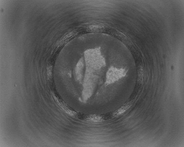 X0000081360278200702020148