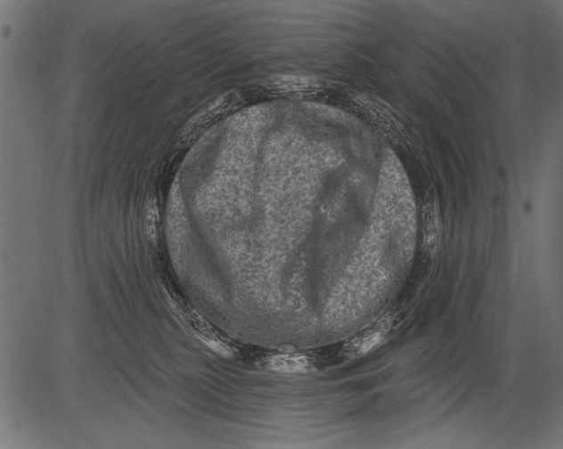 X0000081360279200702020148