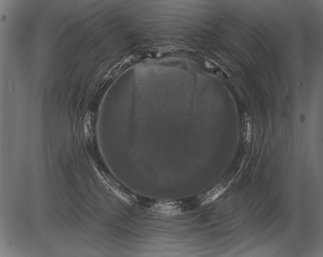 X0000081360280200702020148