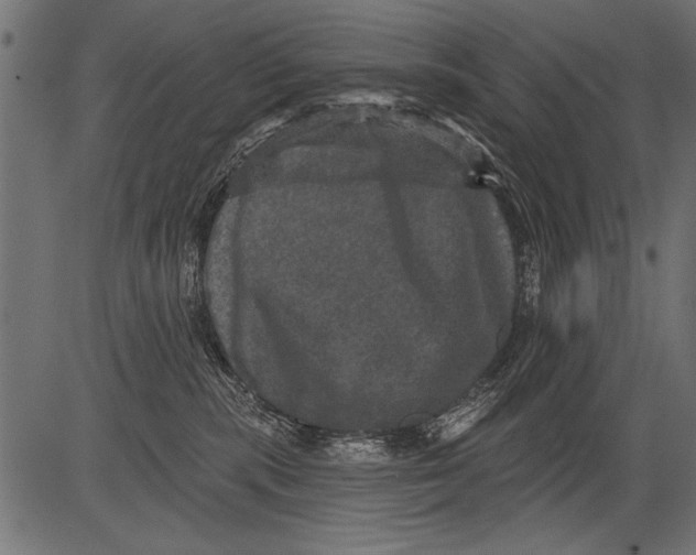 X0000081360283200702020148