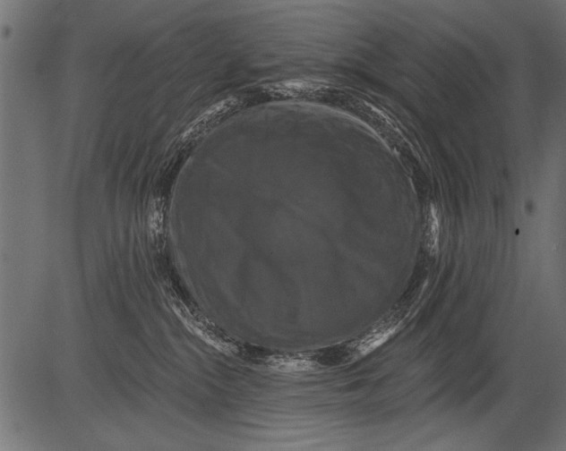 X0000081360284200702020148