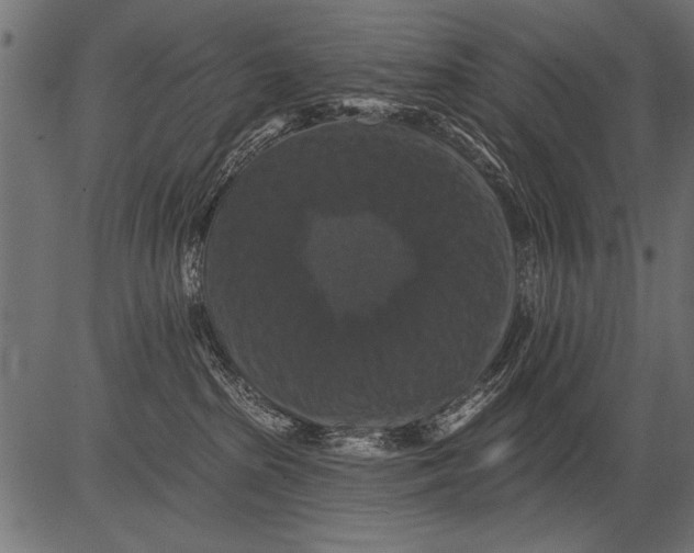 X0000081360285200702020148