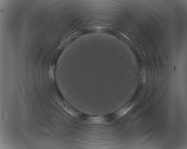 X0000081360286200702020148