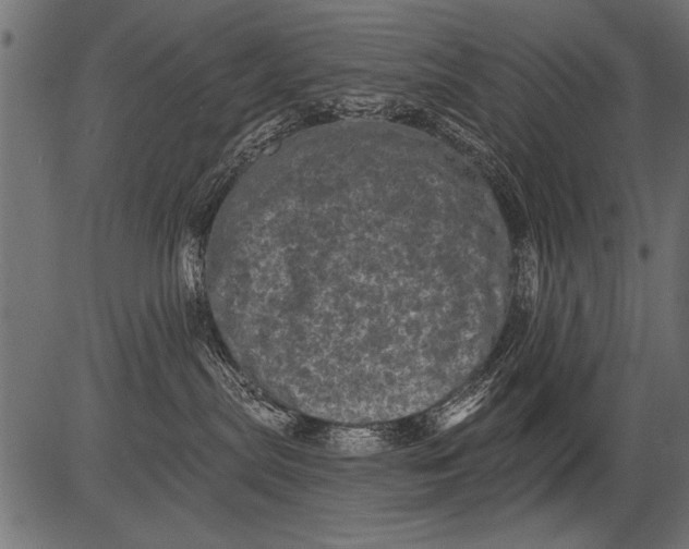 X0000081360287200702020148