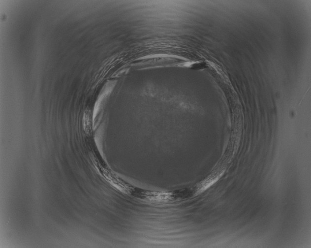 X0000081360288200702020148