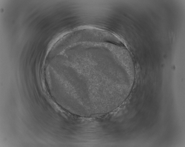 X0000081360289200702020147