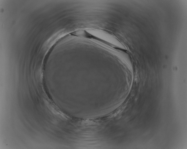 X0000081360290200702020147