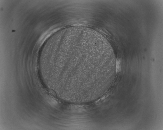 X0000081360291200702020147