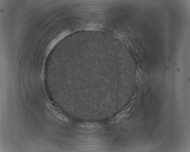 X0000081360292200702020147