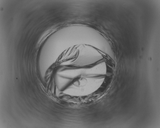 X0000081360293200702020147