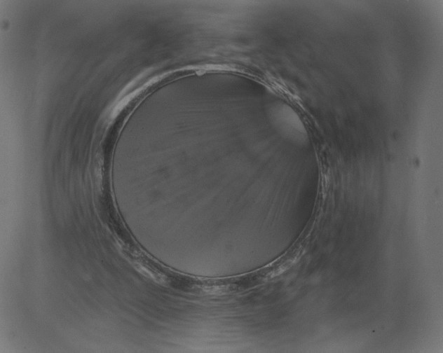 X0000081360295200702020147