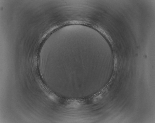 X0000081360297200702020147