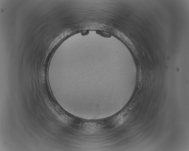 X0000081360298200702020147