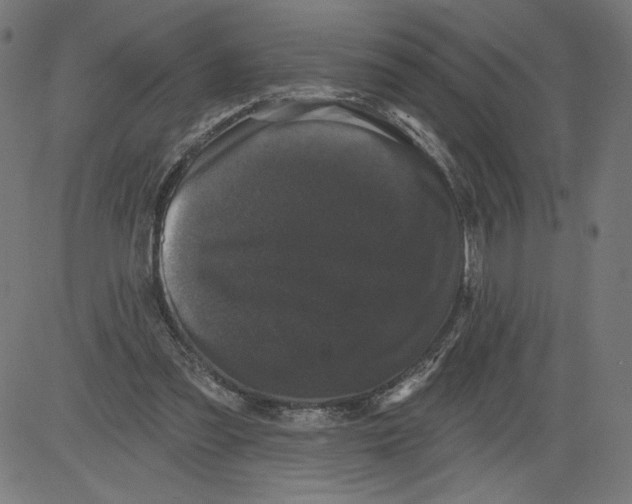 X0000081360301200702020147