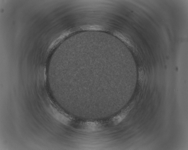 X0000081360302200702020147