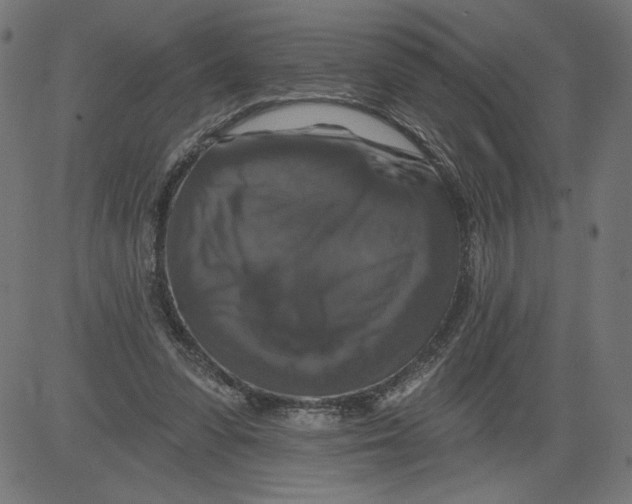 X0000081360303200702020147