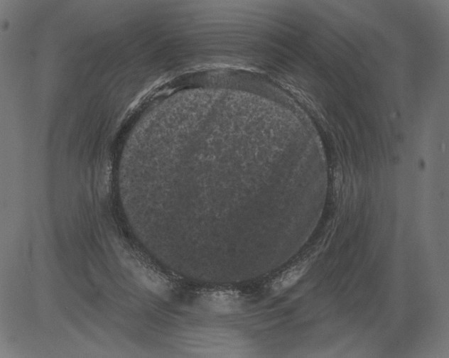 X0000081360304200702020147