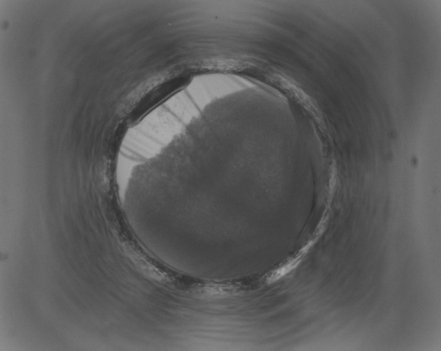 X0000081360305200702020147