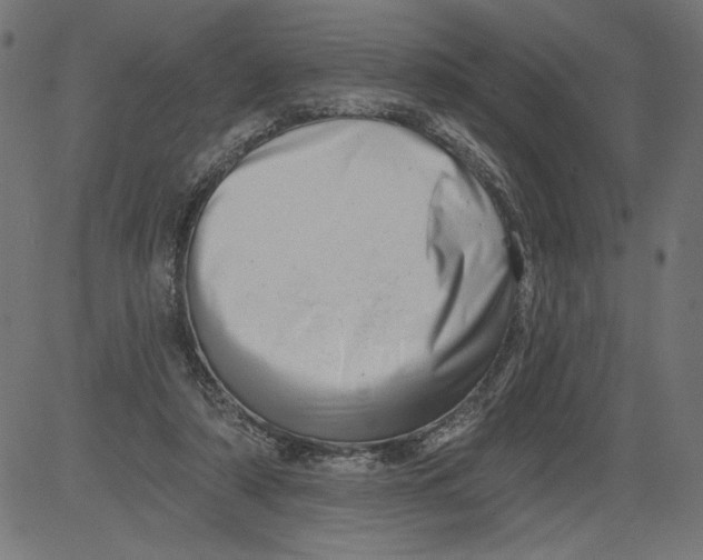 X0000081360306200702020147