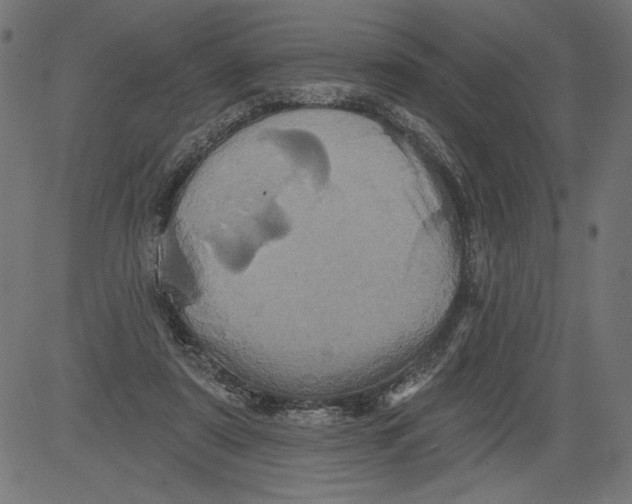 X0000081360307200702020147