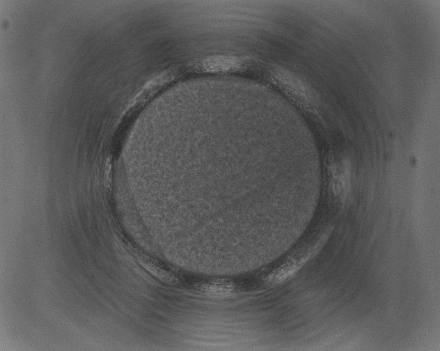 X0000081360308200702020147