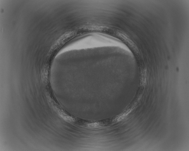 X0000081360309200702020147